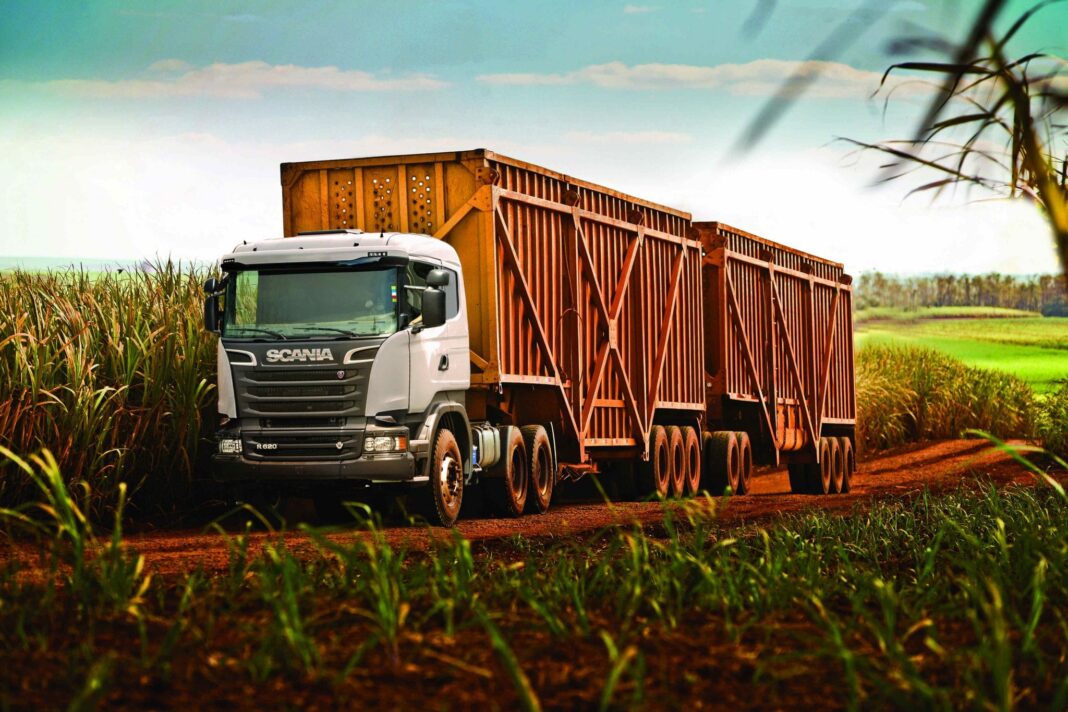 005 Mais Brasil, Menos Brasília