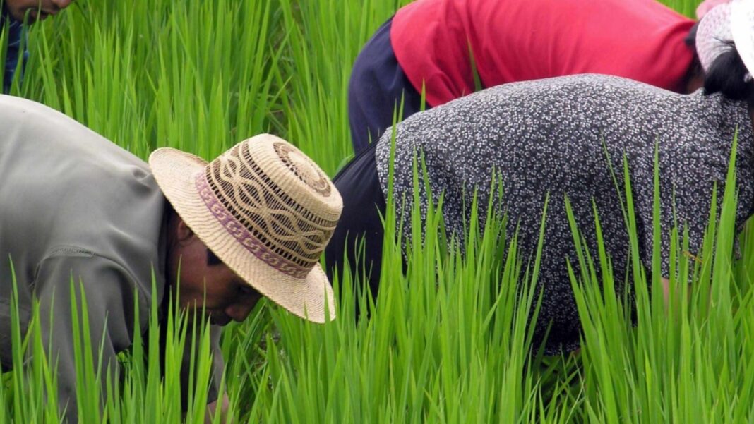 017 O valor do trabalho