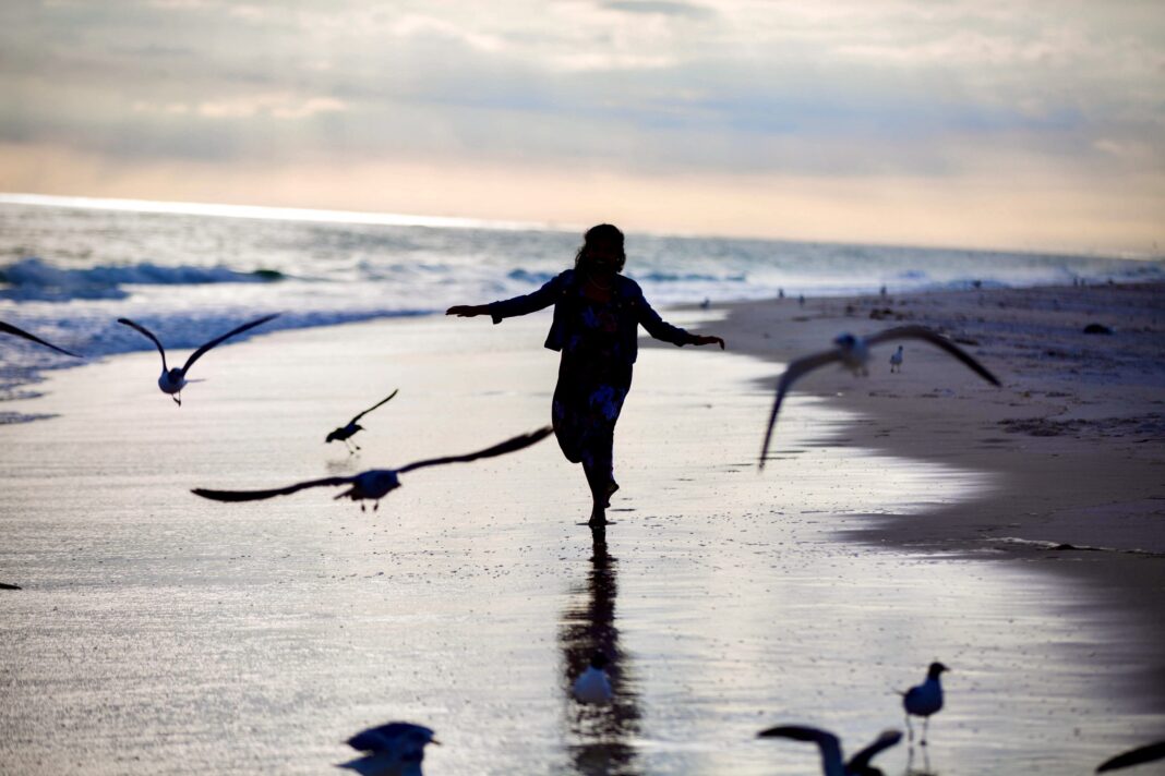 042 Liberdade Econômica
