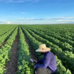 Por que o Brasil já é referência mundial em agricultura sustentável